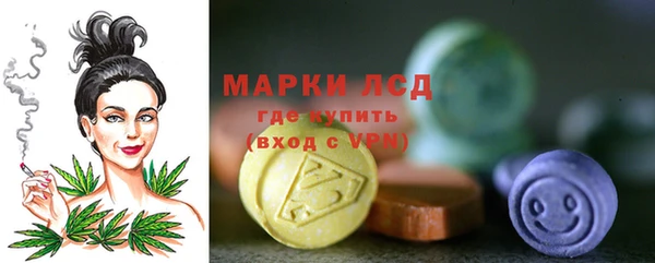 стаф Волоколамск