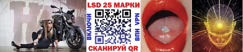 Наркотические марки 1,5мг  KRAKEN как войти  Петропавловск-Камчатский  где купить наркоту 